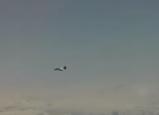 Японские истребители сопроводили Ту-95 ВКС России над Тихим океаном