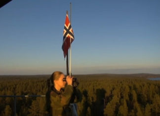 Норвегия отказалась участвовать в учениях НАТО из-за коронавируса