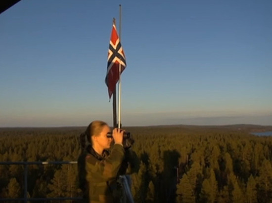 Норвегия отказалась участвовать в учениях НАТО из-за коронавируса