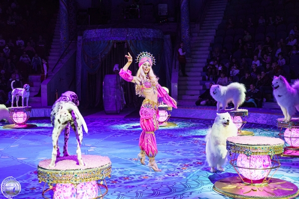 В Омске пройдет грандиозное шоу Гии Эрадзе &laquo;Песчаная сказка&raquo;