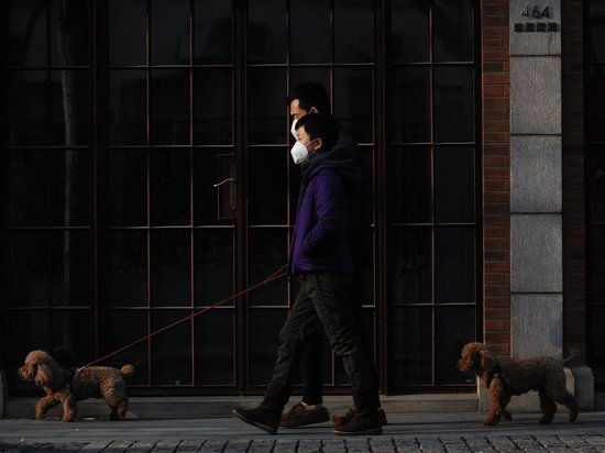 Приложение для контроля контактов больных коронавирусом создадут в Британии