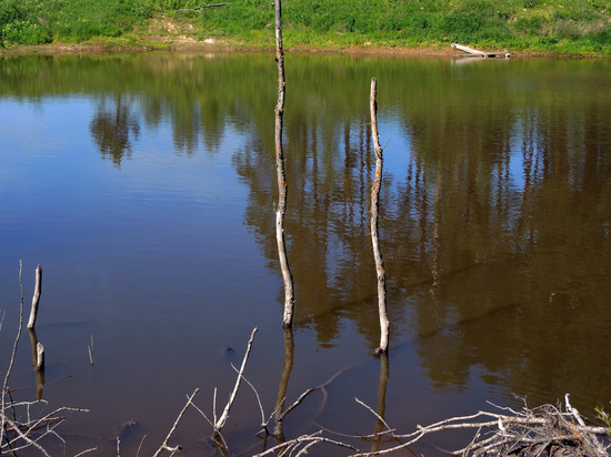 Москвич нарушил режим самоизоляции и упал в пруд