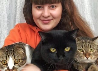 Счет в банке появился у бездомных кошек в Венгерово