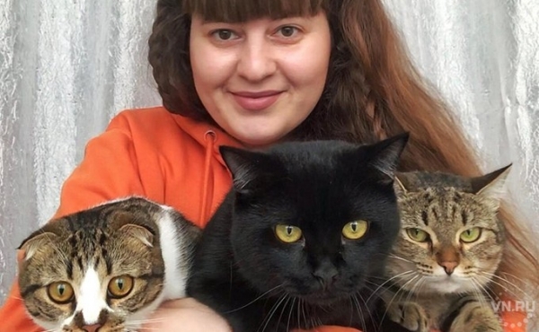 Счет в банке появился у бездомных кошек в Венгерово