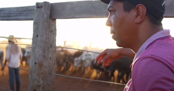 Джоване Элбер теперь фермер: ездит верхом, раздает еду в фавелах и критикует власть