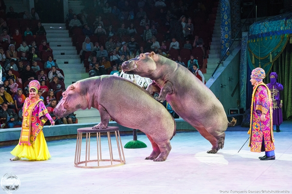 В Омске пройдет грандиозное шоу Гии Эрадзе &laquo;Песчаная сказка&raquo;