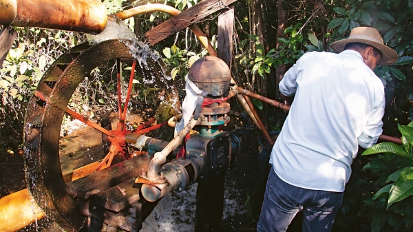 Джоване Элбер теперь фермер: ездит верхом, раздает еду в фавелах и критикует власть