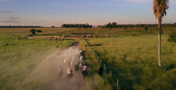 Джоване Элбер теперь фермер: ездит верхом, раздает еду в фавелах и критикует власть
