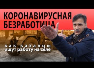 «Коронавирусная» безработица: как казанцы ищут работу на селе