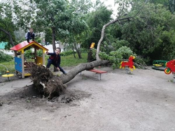 Электрички стоят, тополя падают &ndash; последствия урагана в Новосибирске