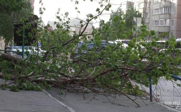 Электрички стоят, тополя падают &ndash; последствия урагана в Новосибирске