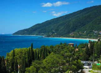 Где снять жилье для отдыха в Абхазии?