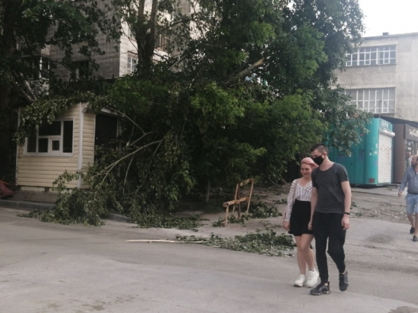 Электрички стоят, тополя падают &ndash; последствия урагана в Новосибирске