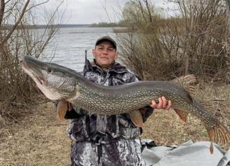 Гиганты на крючке: под Самарой начался сезон трофейной рыбалки