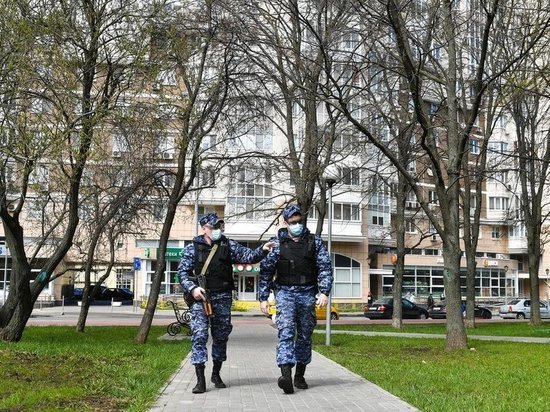 Житель Камчатки получил условный срок за призыв сжигать росгвардейцев