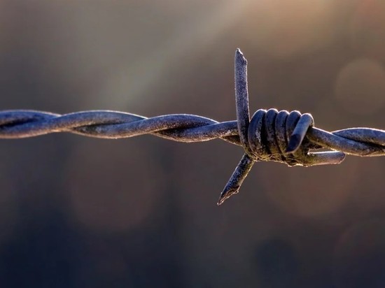 Таджикистан заявил о ранении солдата на границе с Киргизией