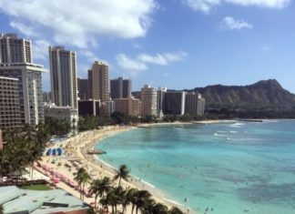 Байден победил на первичных выборах на Гавайях