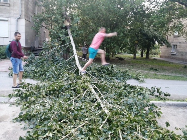 Электрички стоят, тополя падают &ndash; последствия урагана в Новосибирске