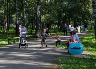 Погода 18-24 мая в Новосибирске – новая волна 30-градусной жары