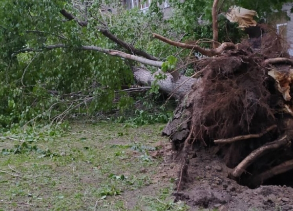 Электрички стоят, тополя падают &ndash; последствия урагана в Новосибирске