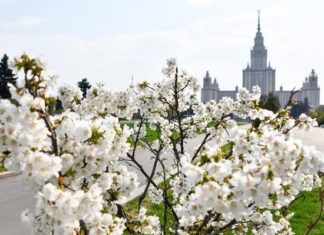 В МГУ отреагировали на включение в санкционный перечень Украины