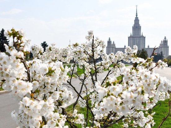 В МГУ отреагировали на включение в санкционный перечень Украины