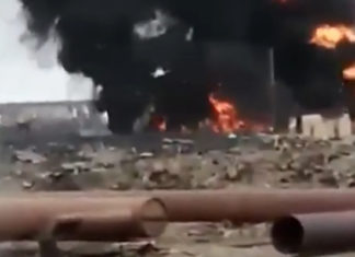 «Норникель» спровоцировал экологическую катастрофу