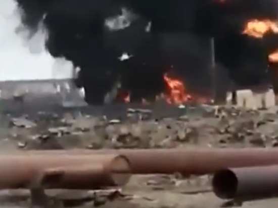 "Норникель" спровоцировал экологическую катастрофу