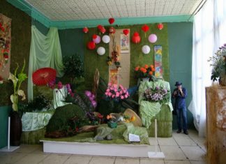 Павильоны, в которых проходит омская выставка «Флора», передают в область