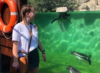 О долгожданном первом дне работы рассказал Новосибирский зоопарк