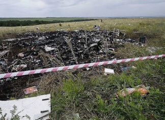 Войдет ли Россия в следственную группу по крушению Боинга МН-17