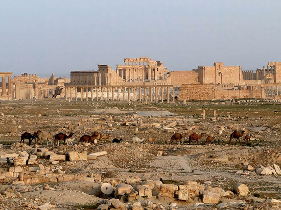 Бывшие сирийский боевик рассказал, как британские разведчики сотрудничали с террористами