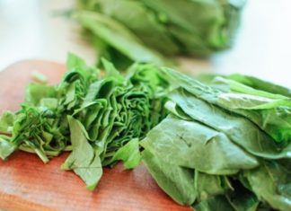 Рецепты блюд из щавеля – от супа до омлета