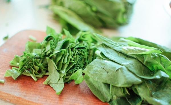 Рецепты блюд из щавеля – от супа до омлета