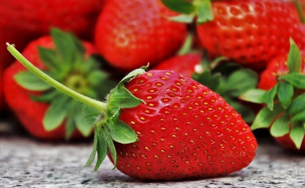 Варенье из виктории на зиму – топ-3 вкусных рецептов