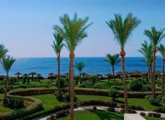 Египет открывает международное авиасообщение с 1 июля