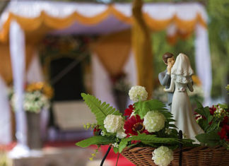 Инсайдер – свадебный ведущий: «Как бал в фильме «Титаник»: всех оштрафуют, да и плевать»