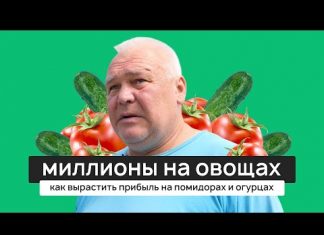 «Урожай томатов хороший, никому не нужен, засилье китайских»: из жизни фермера в Елабуге