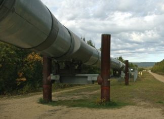 Белоруссия нашла альтернативу российской нефти: поставки сократились в два раза