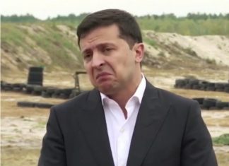 Сенатор Пушков рассказал о самом большом страхе Зеленского