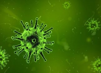 Борис Джонсон назвал противников вакцинации «сумасшедшими»