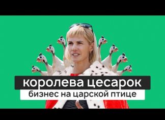 Цесарка из РТ: как казанский бухгалтер создала «оглушительную» ферму
