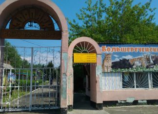 Большереченский зоопарк открывают для омичей в масках