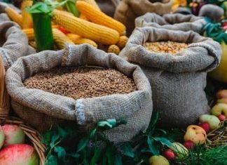 Короли пашни: лайфхаки Фардиева, мегахозяйства Егорова и восходящая звезда Хайруллина-младшего