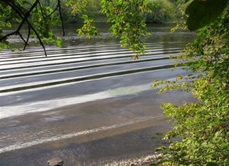 МИКРОЗИМ ® очистит реки и озера от нефтепродуктов и металлов