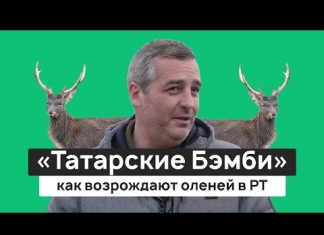 Бизнес на селе: как возрождают «татарских Бэмби»