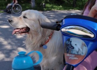 Tele2 и фонд «Навстречу переменам» выбрали лучших в социальной журналистике