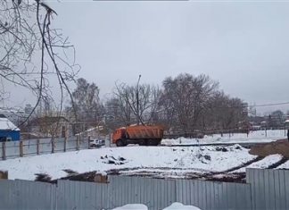 ЕРПЦ начала подготовку к стройке на территории Ботанического сада в Самаре