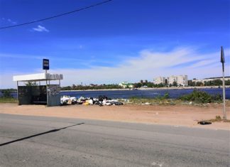 В регионе с начала дачного сезона резко возросло количество свалок