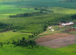Критерии выбора земельного участка